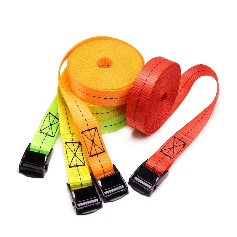 1 Inch 25mm Black E-Coating 250kg Cam Buckle Cargo Lashing Straps