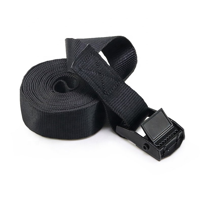 1 Inch 25mm Black E-Coating 250kg Cam Buckle Cargo Lashing Straps