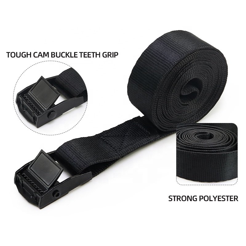 1 Inch 25mm Black E-Coating 250kg Cam Buckle Cargo Lashing Straps