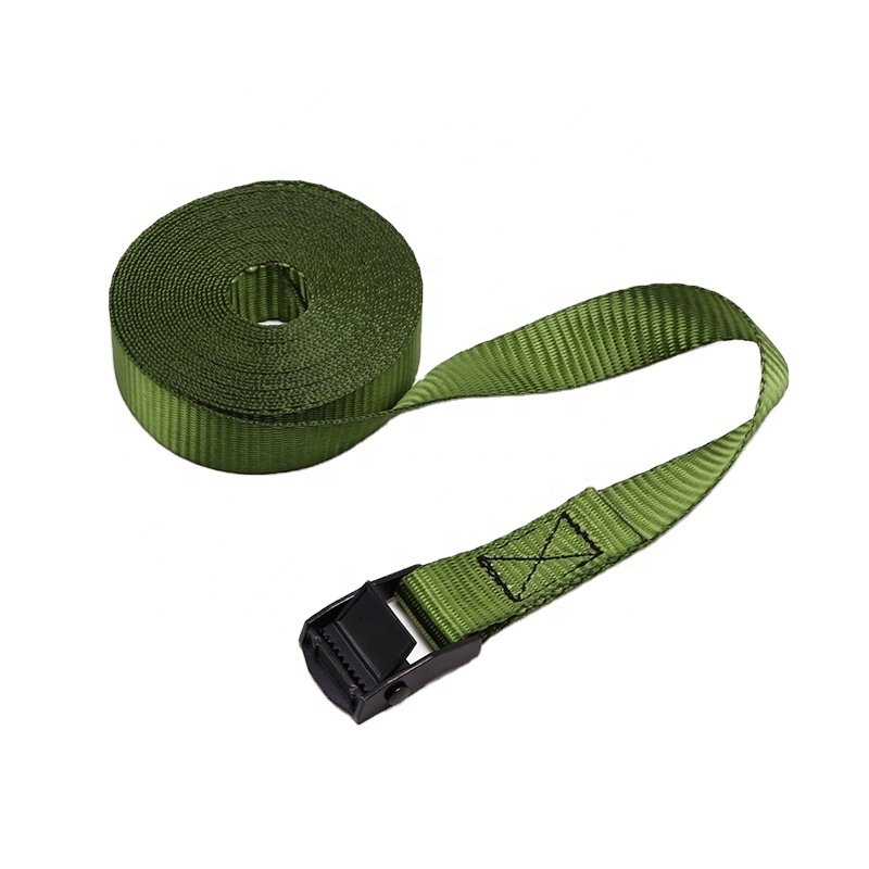 1 Inch 25mm Black E-Coating 250kg Cam Buckle Cargo Lashing Straps