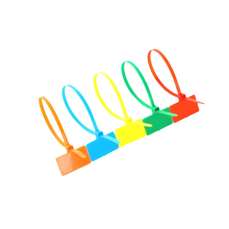 Colorful Nylon Cable Ties Self-Locking Waterproof Plastic 3*100mm Bundle Tag Label for Effective Marking