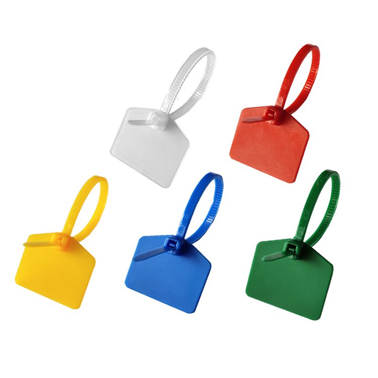 Colorful Nylon Cable Ties Self-Locking Waterproof Plastic 3*100mm Bundle Tag Label for Effective Marking