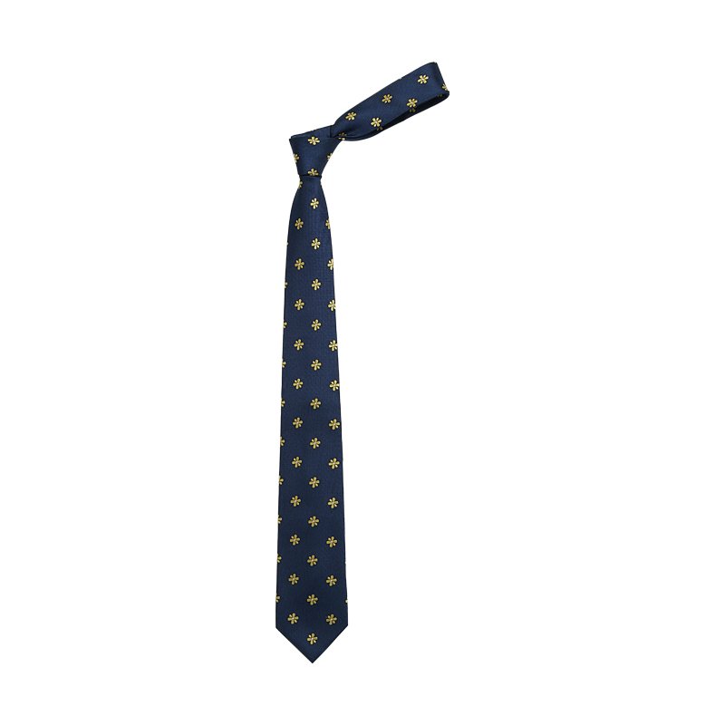 Custom High Quality Silk Polyester Necktie Business Necktie Silk Mens Ties Custom Neck Tie Set Black Green Plain Gift