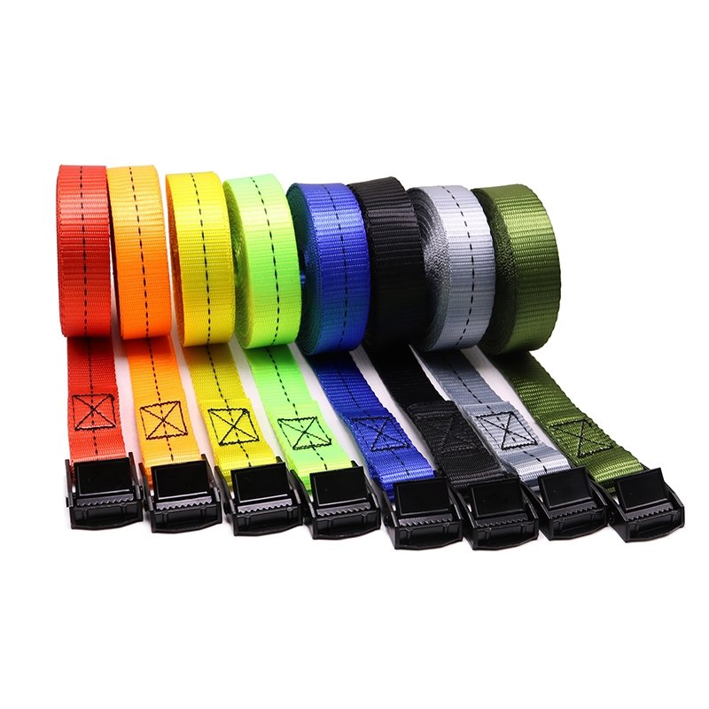 Highly Customized 25mm 1" Cargo Tie-Down Webbing Strap Mini Load Secure Endless Cam Lock Buckle Tie Down Strap