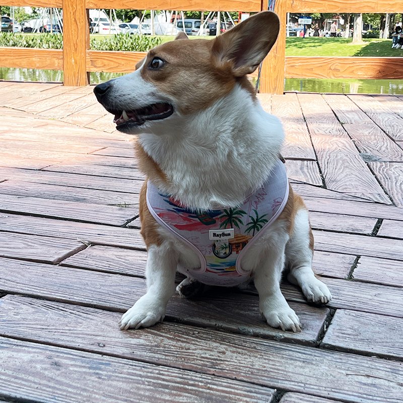 Free sample neoprene no pull dog harness set designer Pet collar custom bog bow tie high quality dog harness with poop pouch