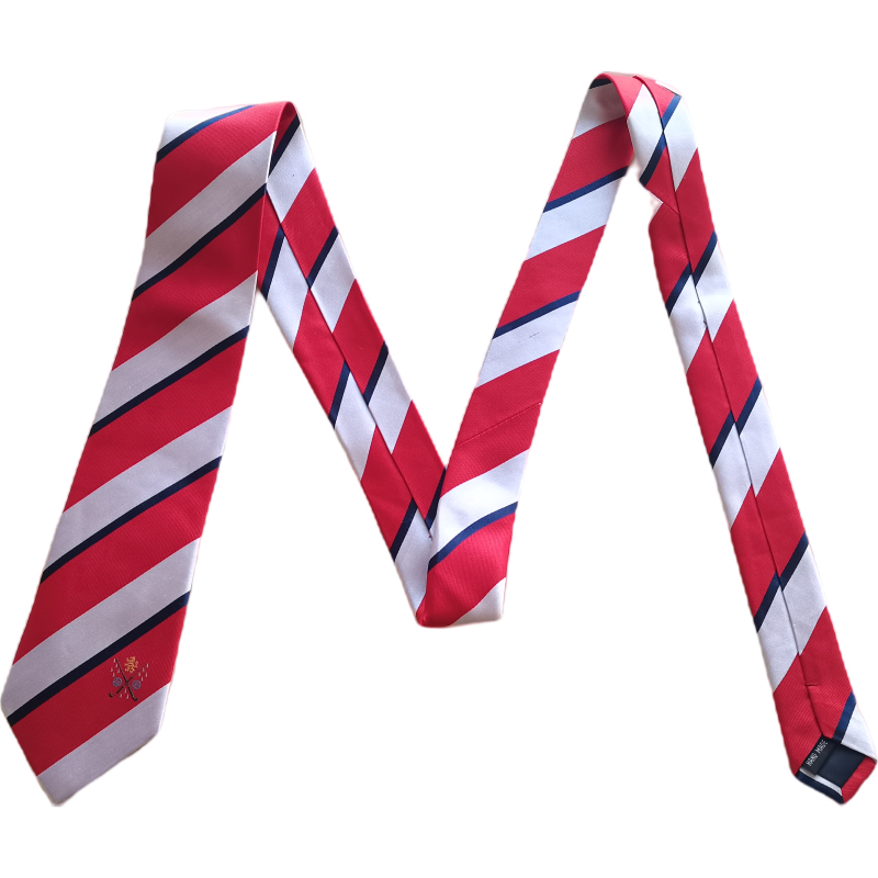 Custom Embroidery Logo Club Tie Polyester Necktie