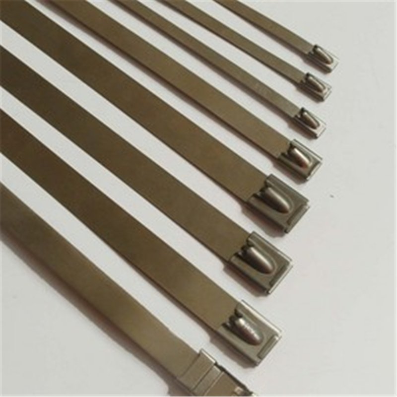 Wholesale 304 316 Stainless Steel Cable Ties Zip Ties