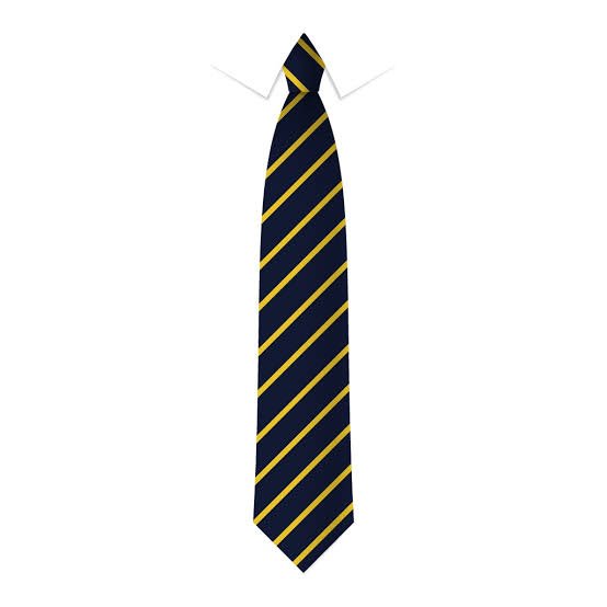 Polyester Tie Classic Design Children School Tie High Quality Custom Polyester lining school office tie custom hand made