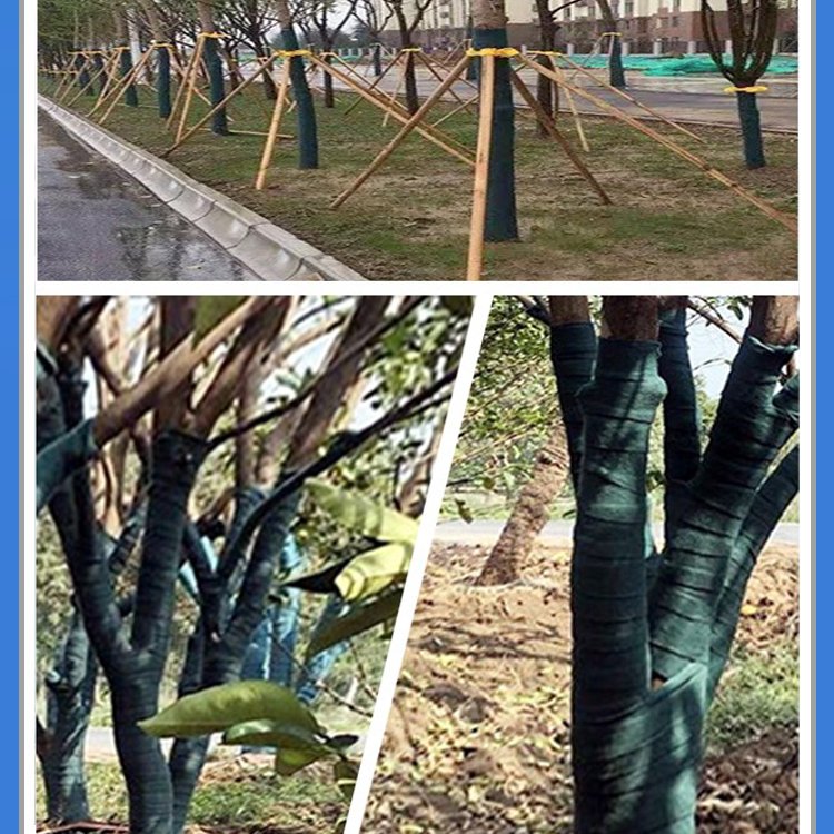 Agriculture Dark Green Hdpe Factory Fruit Tree Tie Shade Net