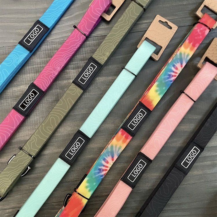 Personalized Durable release buckle Silicone Waterproof Easy to Clean colorful PVC Dog Collar and Leash Set Coated With webbing