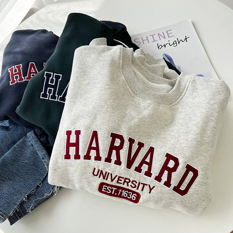 Puff Print Oversized Custom Hoodies Unisex Clothing Manufacturers Blank Heavyweight Cotton Plain Sweatshirts Logo Men's Hoodies