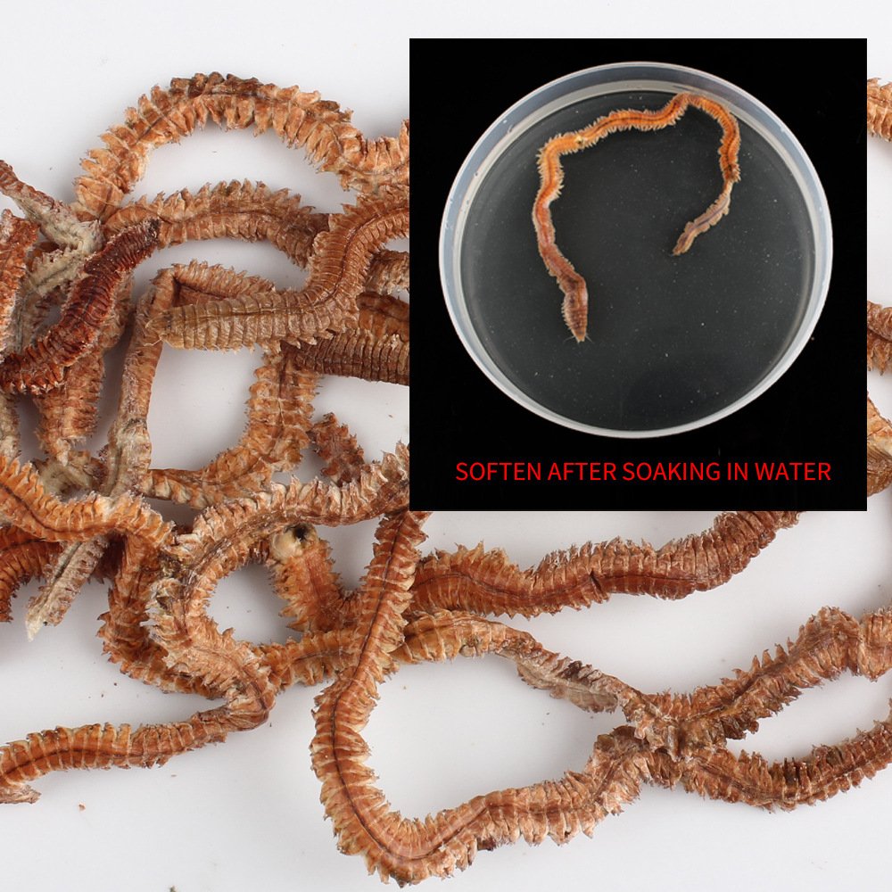 Wholesales 6g/10g Fishing Bait Dry Lugworm Peche Worms Freeze Dried Lugworm Sea Fishing Bait soft lures Living Dry power worms