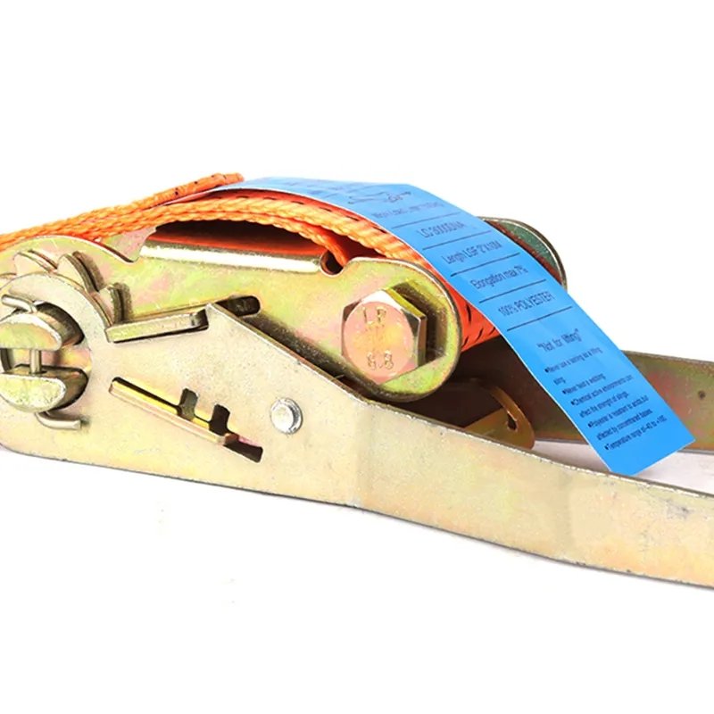 Cost Effective Auto Retractable Polyester Lashing Belt Ratchet Tie Down Strap