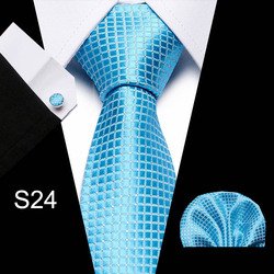 S24