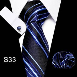 S33