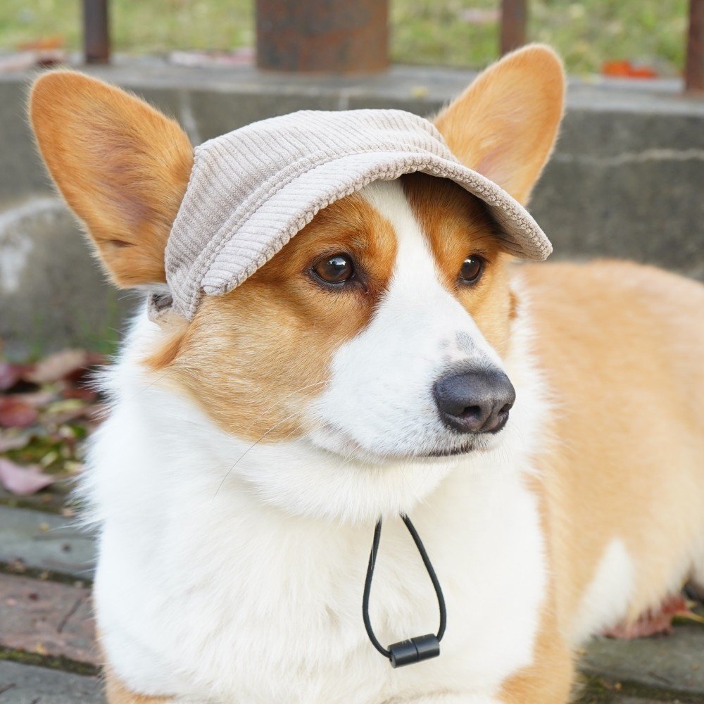 Trending Dog Products Wholesale Sunscreen Dog Hat Pet Accessories Dog Baseball Hats With Ear Hole Other Pet Apparel Accessories