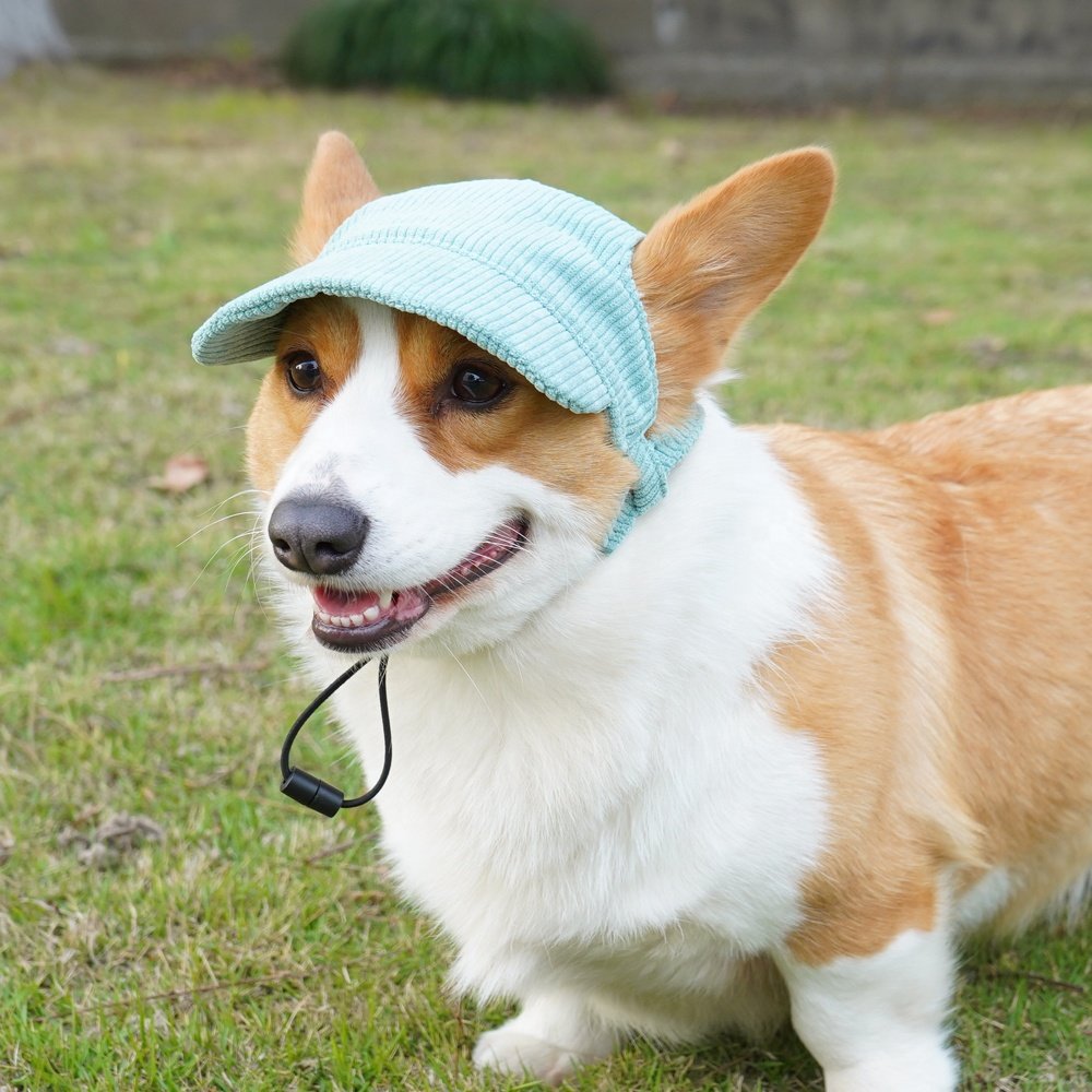 Trending Dog Products Wholesale Sunscreen Dog Hat Pet Accessories Dog Baseball Hats With Ear Hole Other Pet Apparel Accessories