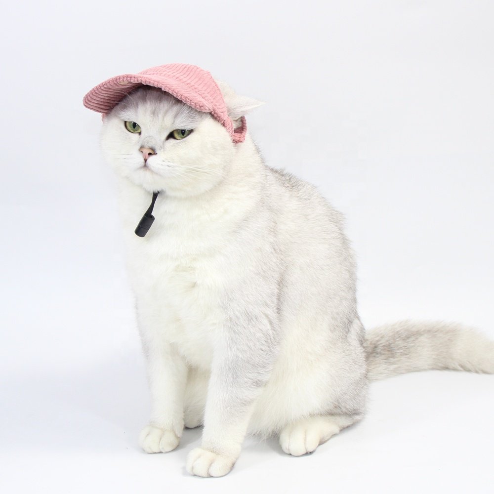 Trending Dog Products Wholesale Sunscreen Dog Hat Pet Accessories Dog Baseball Hats With Ear Hole Other Pet Apparel Accessories