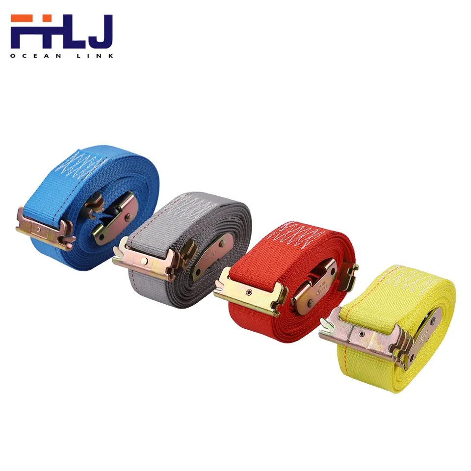 High Quality 2" 16FT BS 3000LBS WLL 1000lbs Cam Buckle logistic Strap with E/A Series Spring Fitting