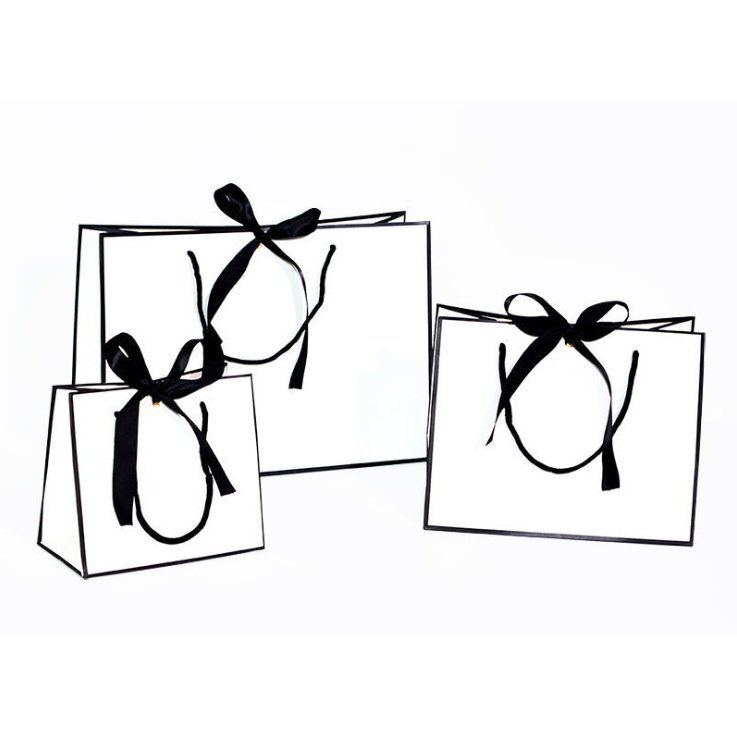 Small Luxury Gift Bag custom package paper bag with logo print cardboard boutique shopping bags