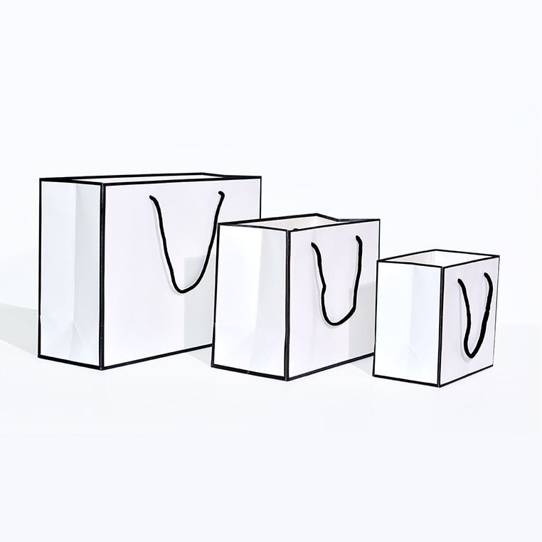 Small Luxury Gift Bag custom package paper bag with logo print cardboard boutique shopping bags