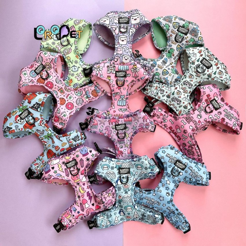 OEM/ODM perro dog harness and leash custom logo pet harness set dog bow tie personalised