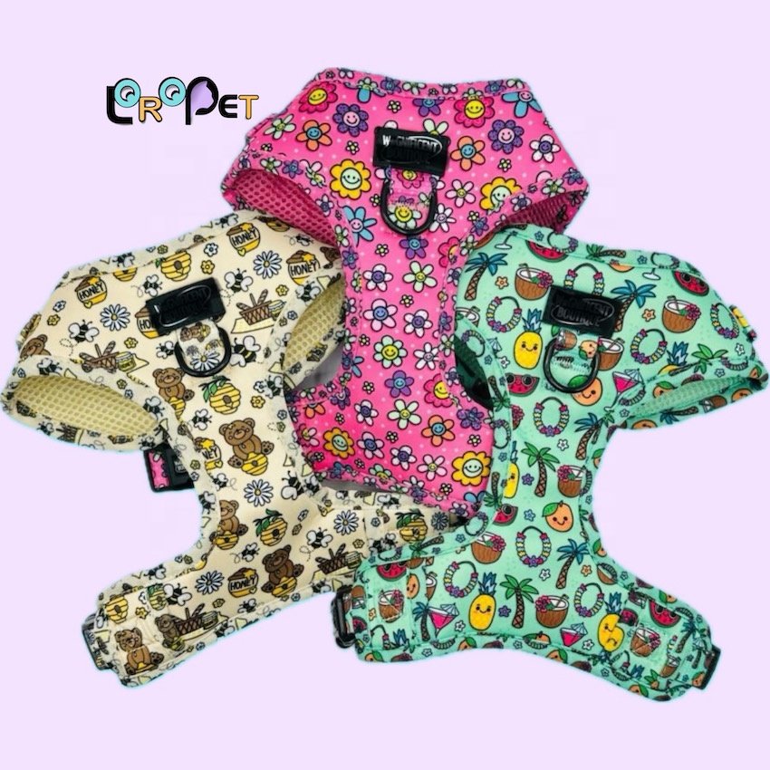 OEM/ODM perro dog harness and leash custom logo pet harness set dog bow tie personalised
