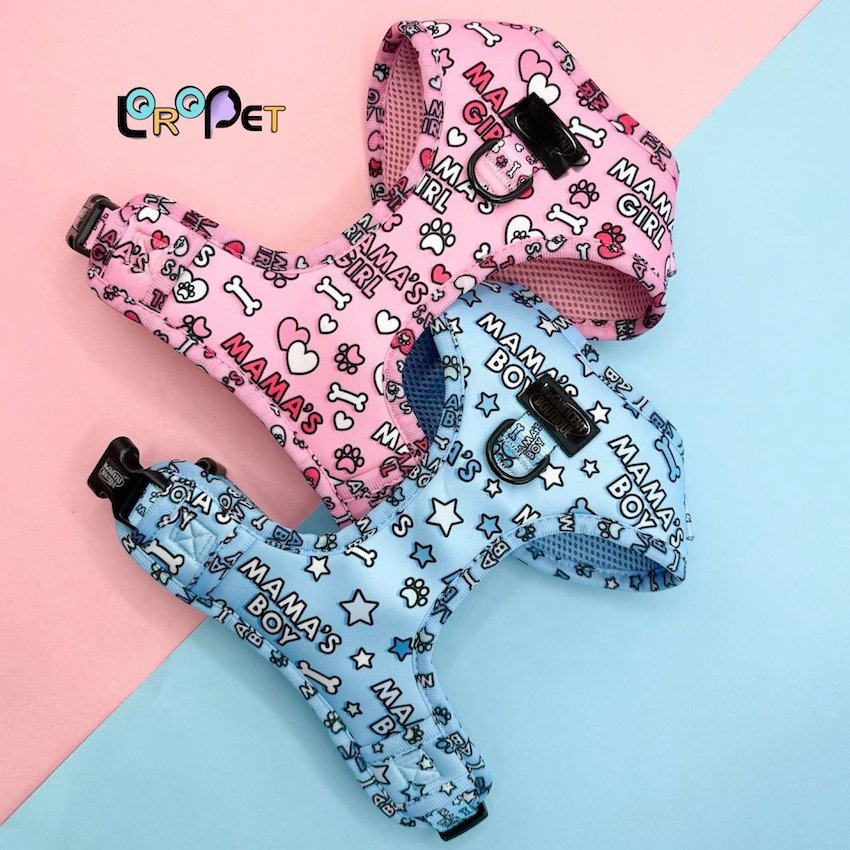 OEM/ODM perro dog harness and leash custom logo pet harness set dog bow tie personalised