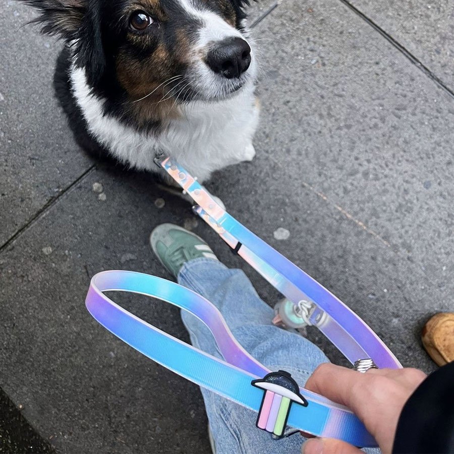 Lunar Space orbit Handsfree Dog Lead Belt Shoulder Strap holographic Rainbow Iridescent Waterproof PVC Dog collar and leash