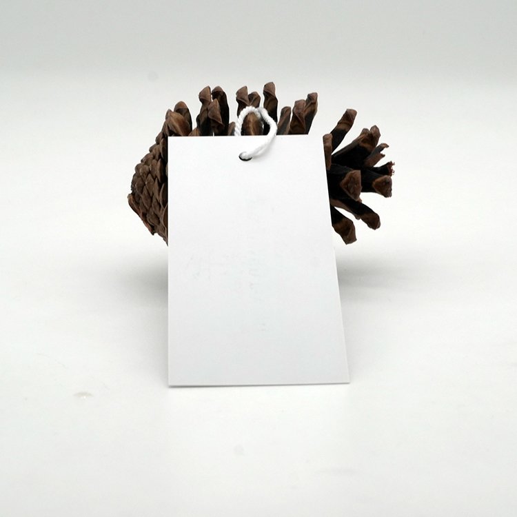 Recyclable Custom Brand Name Logo Silk Screen Printing Labels Price Paper Hang Tags for Watches