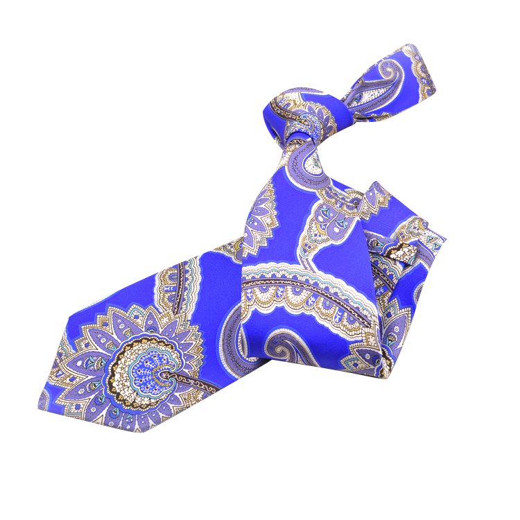100% Silk Neck Tie Floral Paisley Print Business-Friendly Bridegroom Fashion Silk Ties