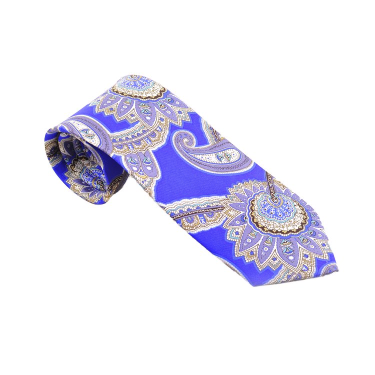 100% Silk Neck Tie Floral Paisley Print Business-Friendly Bridegroom Fashion Silk Ties