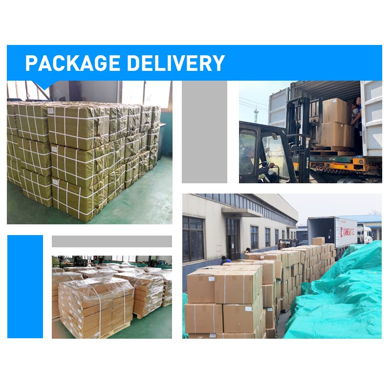 Custom Printing Disposable Self-Lock Tamper Evidence 280mm Pull Tight Cable Tie Security Plastic Seal