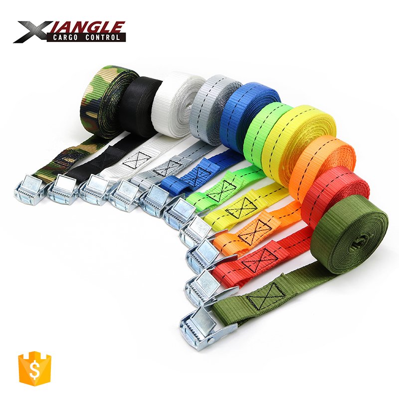 custom logo 25mm 250kgs polyester cargo lashing cam buckle endless tie down strap
