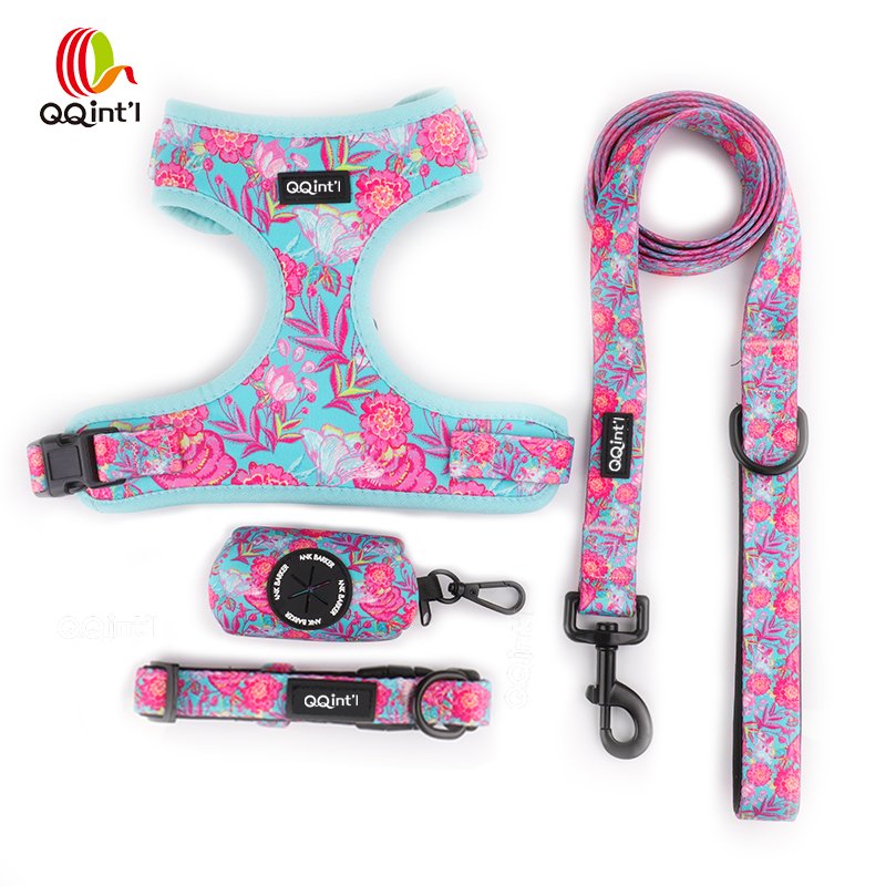 Polyester Adjustable Fries And Burger Pet Dog Harness Set Lovely Bow Tie And Leash Set,Cute Pet Dog Collar And Leash Harness Set