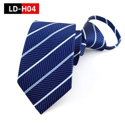 LD-H04