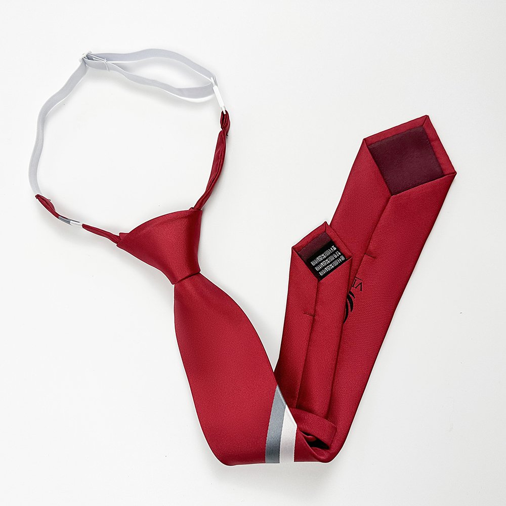 Custom Logo and Color Pre-tied Adjustable Strap Boys Neck Ties Accessories Polyester Neck Ties for School Uniform