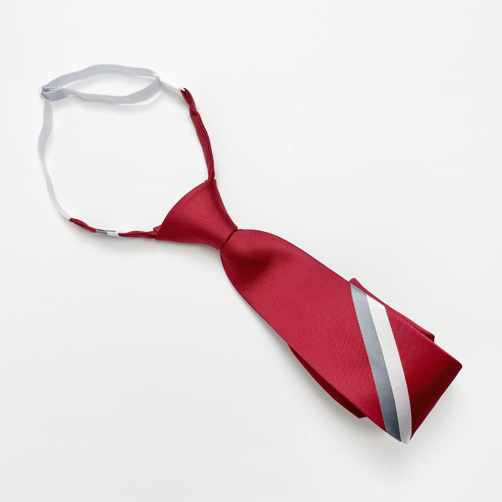Custom Logo and Color Pre-tied Adjustable Strap Boys Neck Ties Accessories Polyester Neck Ties for School Uniform