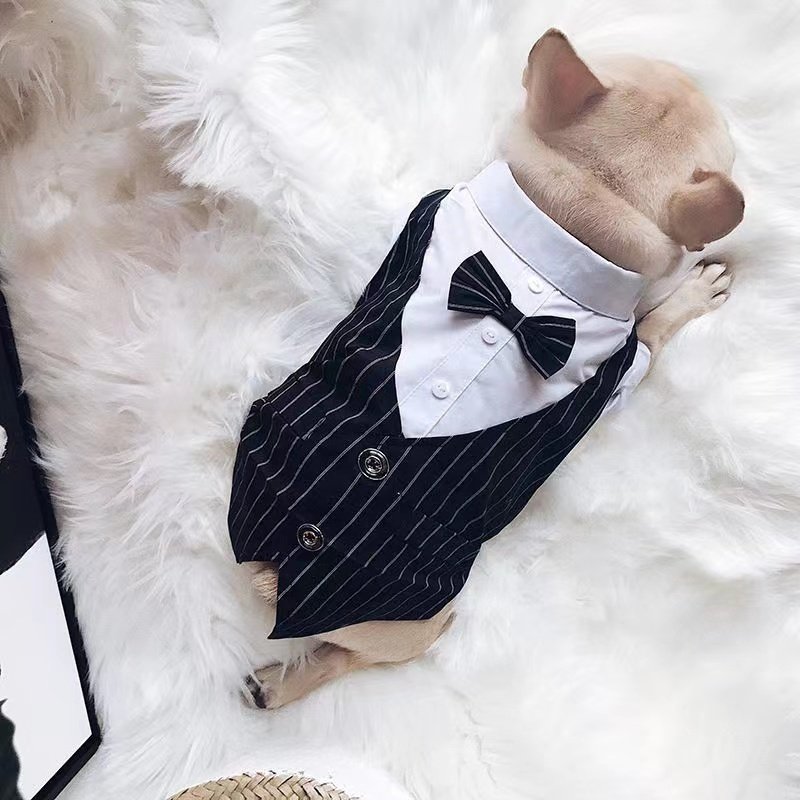 Pet Vest Suits Xs S M L Wholesale Big Designer Dog Clothes Luxury Pet Apparel Dogs Shirt With Bow Tie