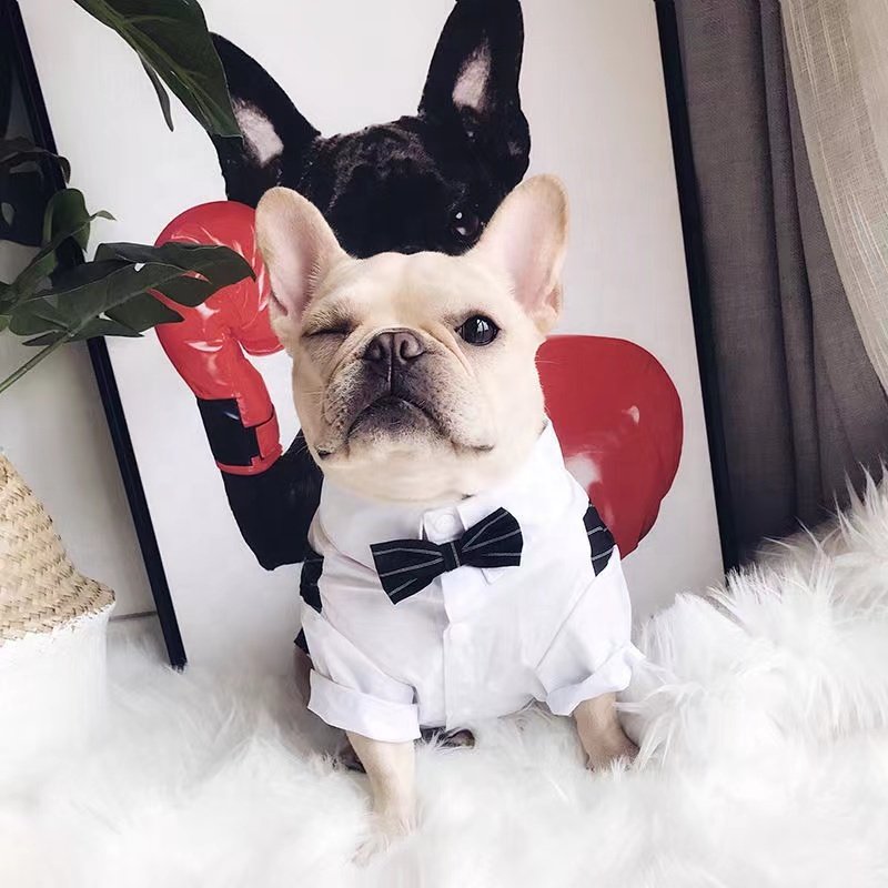 Pet Vest Suits Xs S M L Wholesale Big Designer Dog Clothes Luxury Pet Apparel Dogs Shirt With Bow Tie