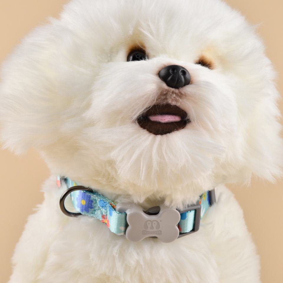 MIDEPET New Arrives Custom Print Accept Your Own Dog Collar For Small Medium Large Puppy Dogs