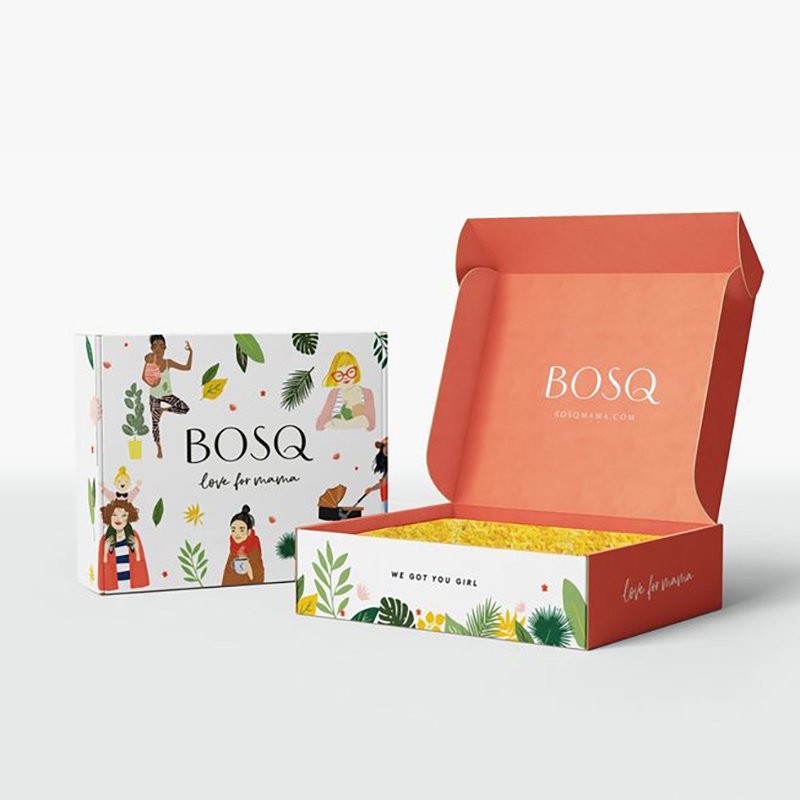 Airplane Carton Corrugated Box Color Cardboard Shipping Packaging Delivery Custom Logo Packaging Mailing Box