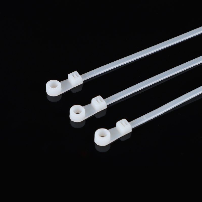 Factory production 100-300MM Strong tensile Nylon Self-locking Screw Mount cable tie Fixed head tie with screw