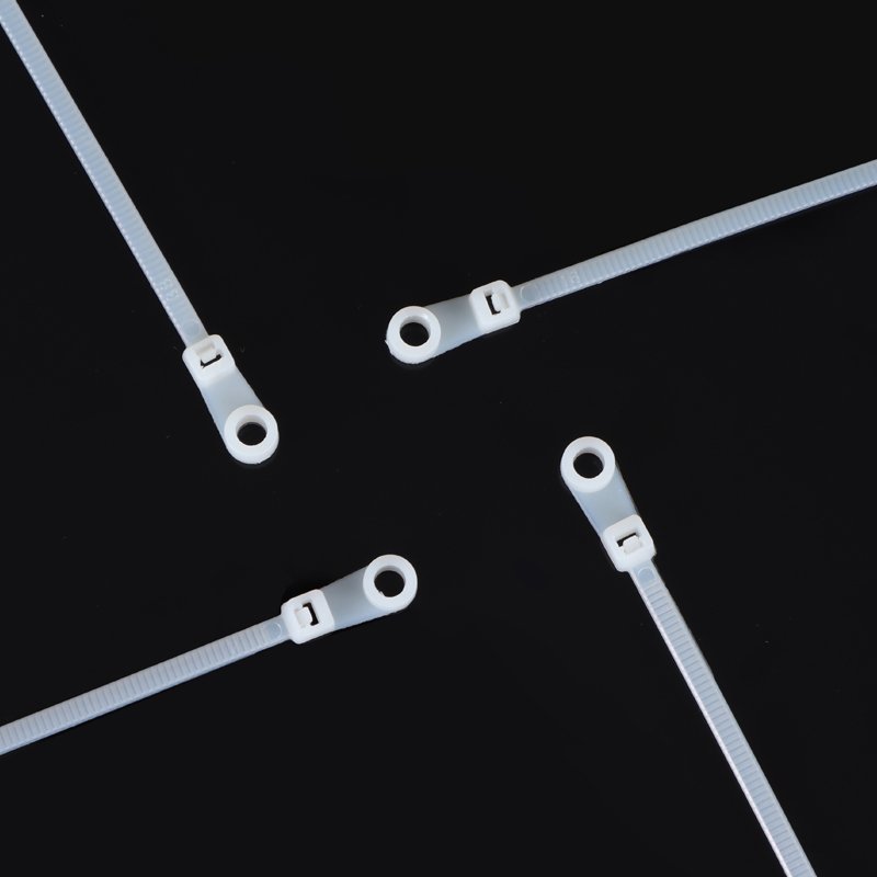 Factory production 100-300MM Strong tensile Nylon Self-locking Screw Mount cable tie Fixed head tie with screw