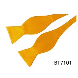 BT7101