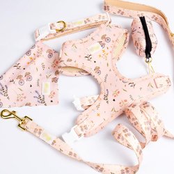 XXS