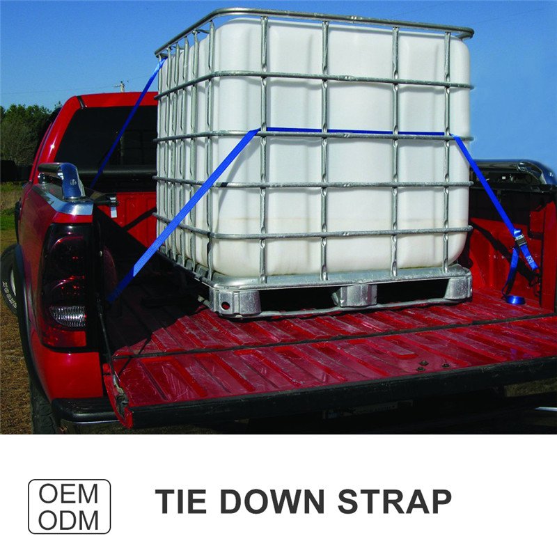 Customized adjustable elastic tool polyester lashing safety strap car luggage cargo tie down strap with cam buckle