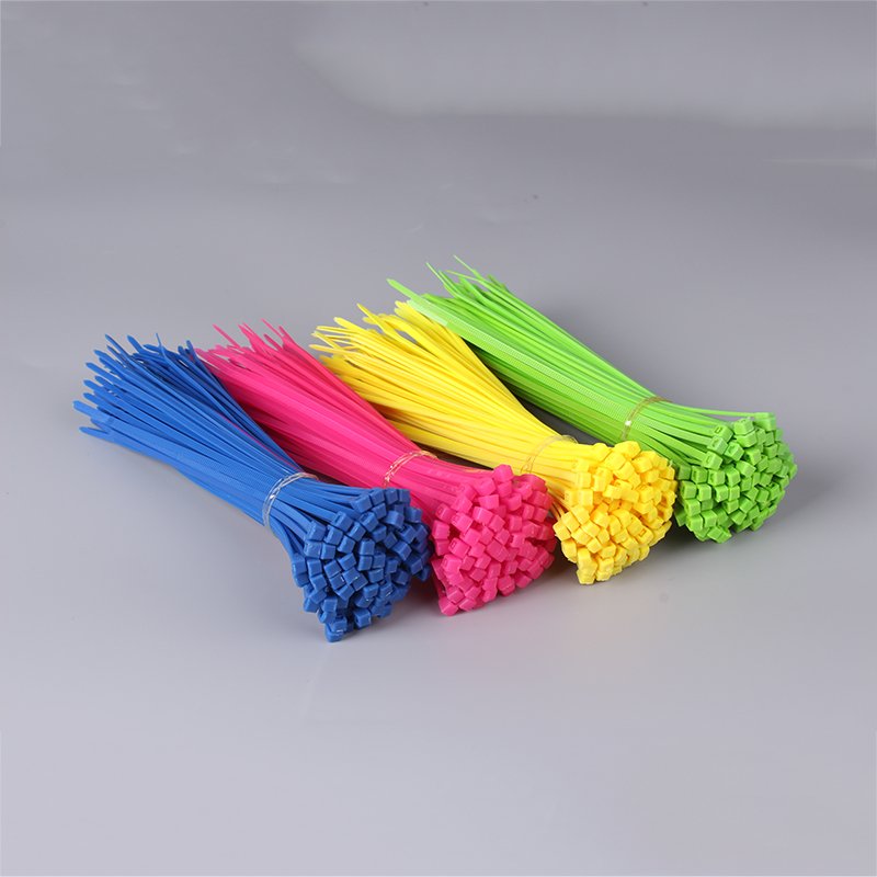 China manufacturer new design colorful nylon self-locking cable zip ties