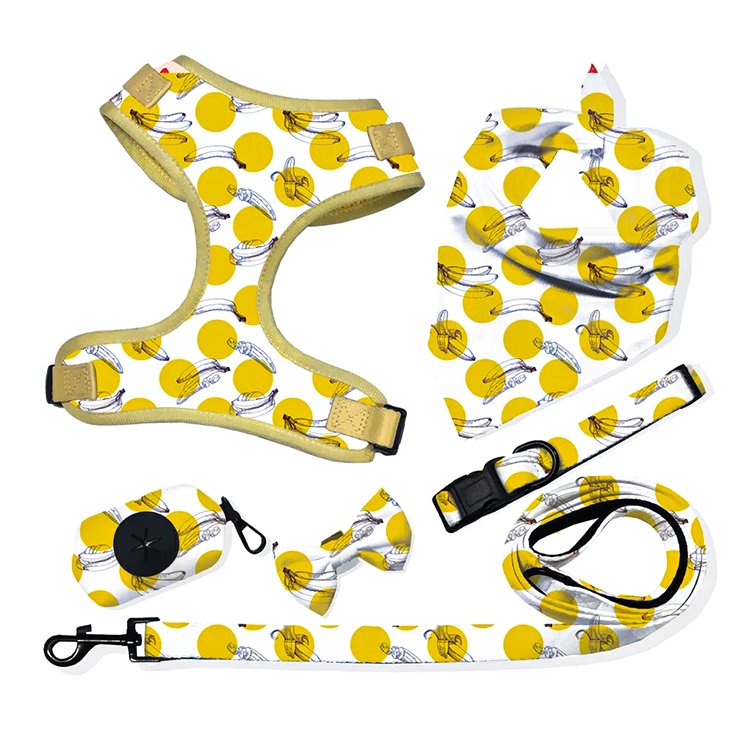 Oxford material dog harness match collars and leash luxury designer sublimation pet dog poop bag bandana dog harness