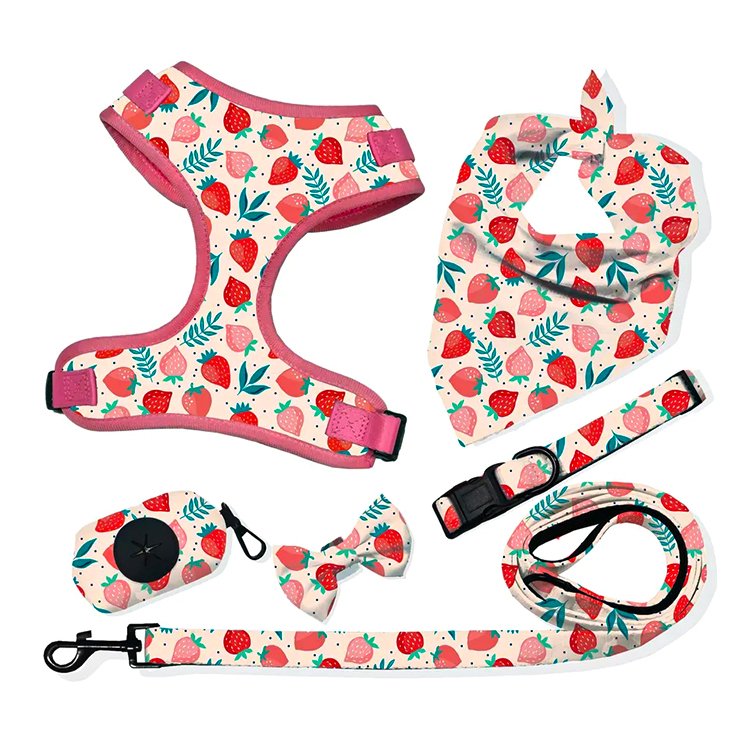 Oxford material dog harness match collars and leash luxury designer sublimation pet dog poop bag bandana dog harness